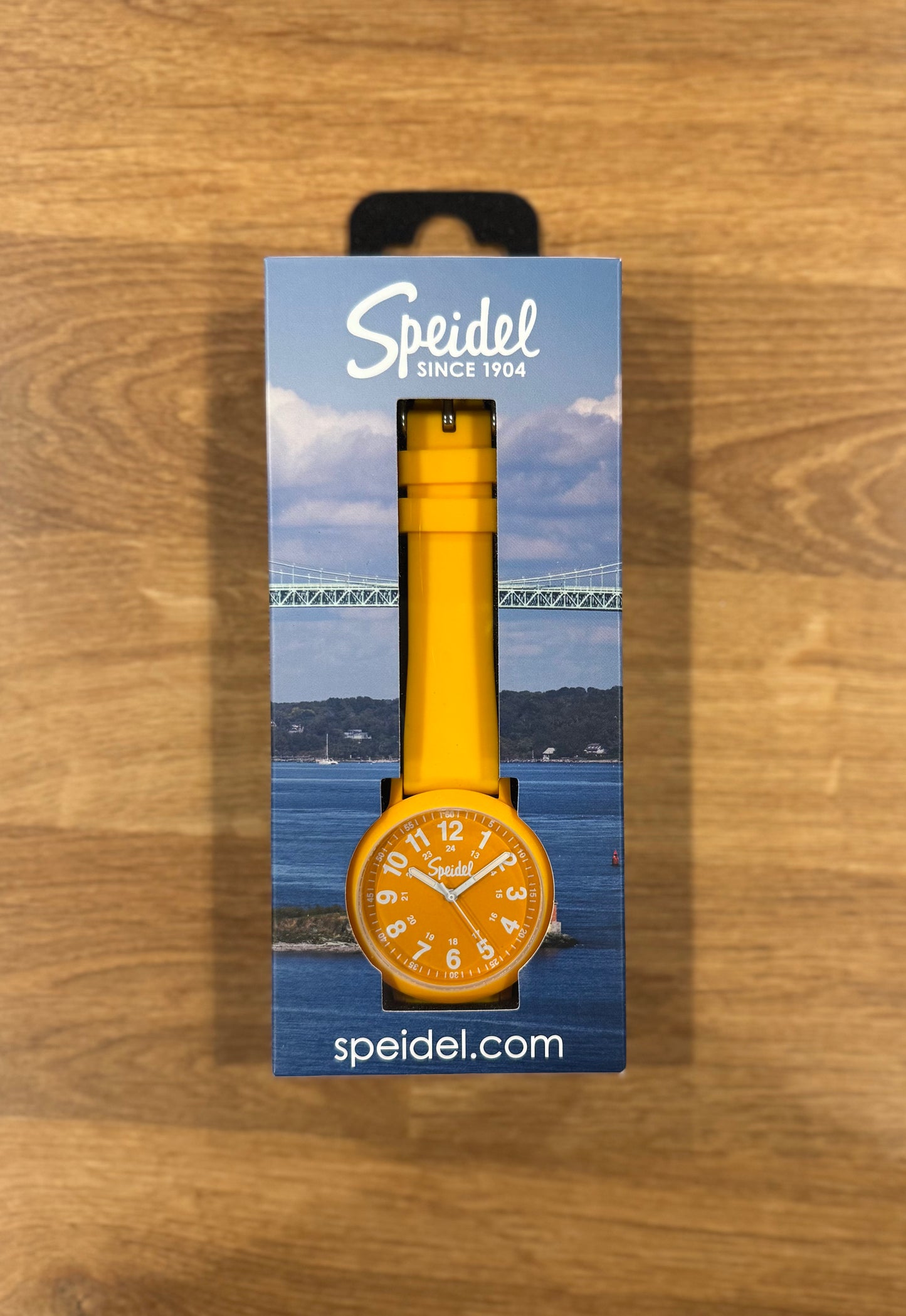 Cam's Colorful Analog Watch